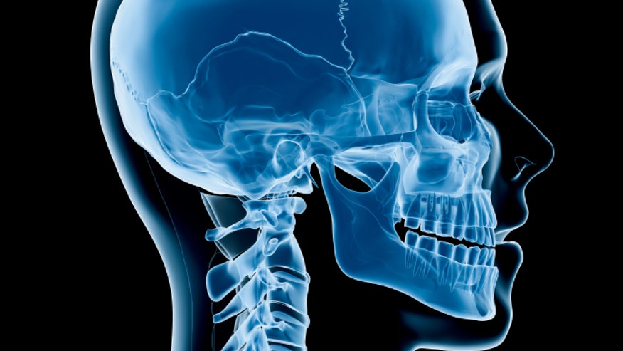 Spinal cord and skull istock.jpg